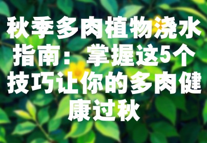 秋季多肉植物浇水指南：掌握这5个技巧让你的多肉健康过秋