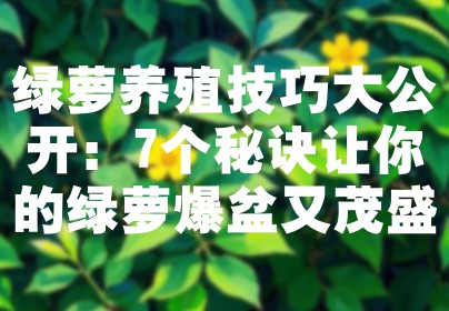绿萝养殖技巧大公开：7个秘诀让你的绿萝爆盆又茂盛