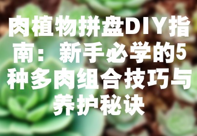 肉植物拼盘DIY指南：新手必学的5种多肉组合技巧与养护秘诀