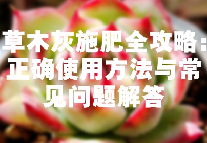 草木灰施肥全攻略：正确使用方法与常见问题解答