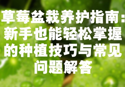 草莓盆栽养护指南：新手也能轻松掌握的种植技巧与常见问题解答