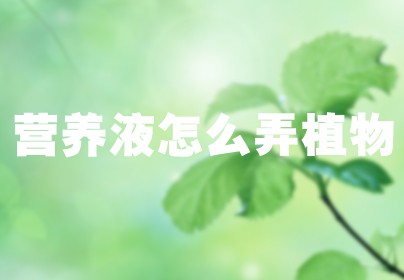 营养液怎么弄植物