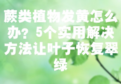 蕨类植物发黄怎么办？5个实用解决方法让叶子恢复翠绿