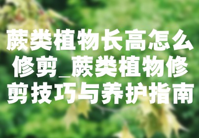 蕨类植物长高怎么修剪_蕨类植物修剪技巧与养护指南