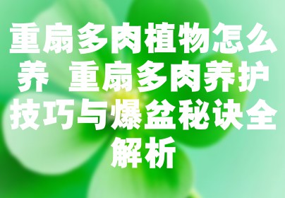 重扇多肉植物怎么养 重扇多肉养护技巧与爆盆秘诀全解析