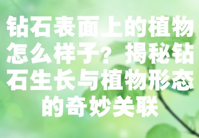 钻石表面上的植物怎么样子？揭秘钻石生长与植物形态的奇妙关联