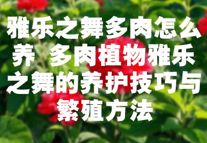 雅乐之舞多肉怎么养 多肉植物雅乐之舞的养护技巧与繁殖方法