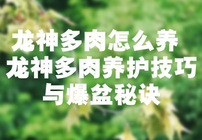 龙神多肉怎么养 龙神多肉养护技巧与爆盆秘诀